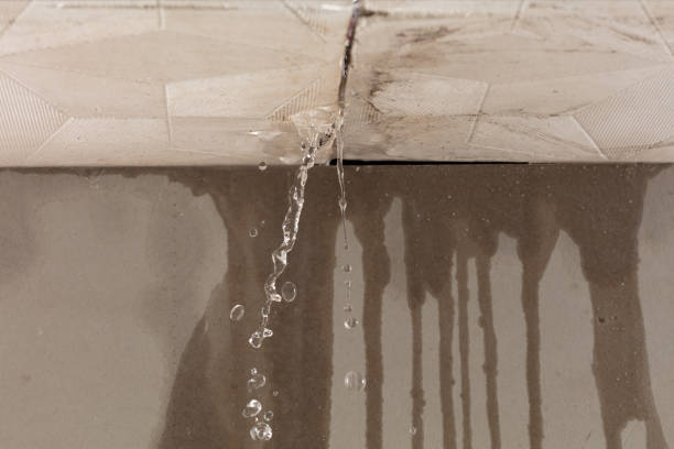 Professional Structural Drying technician working in Martinsburg, MO
